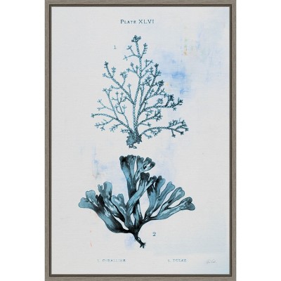 Amanti Art Blue Bay VIII by Deborah Revell Framed Canvas Wall Art
