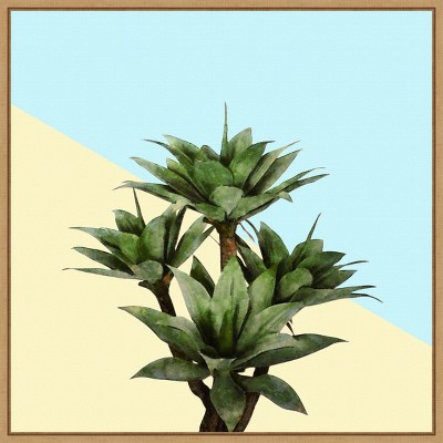 Amanti Art Agave 02 by Amini54 Canvas Wall Art Print Framed