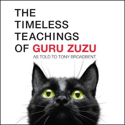 The Timeless Teachings of Guru Zuzu - by  Tony Broadbent (Paperback)
