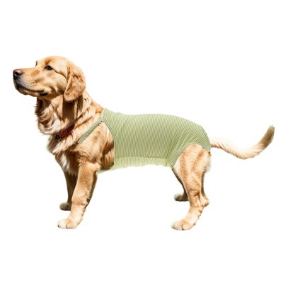 Unique Bargains Washable Dog Diapers Small Green 1 Pc