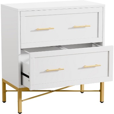 Tribesigns 2 Drawer File Cabinet, Modern Lateral Filing Cabinet