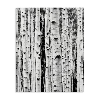 Stupell Industries Birch Trees Forest, 48" x 36"