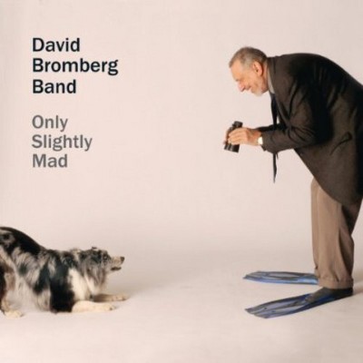 David Bromberg - Only Slightly Mad (CD)