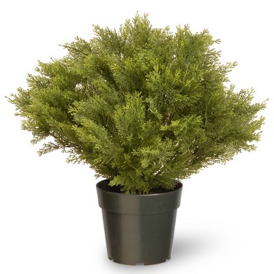 National Tree Company 28" Globe Juniper Artificial Tree: Faux Juniper in Pot, No Assembly, Indoor/Outdoor Use