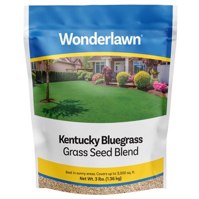 Barenbrug Wonderlawn Kentucky Bluegrass Sun or Shade Grass Seed 3 lb