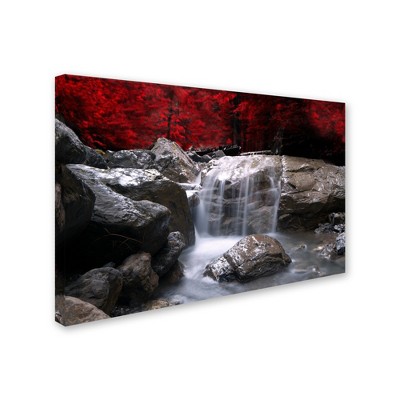 Trademark Fine Art - "Red Vison" Outdoor All-Weather Wall Decor