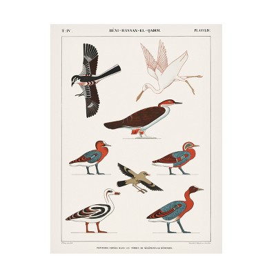 Trademark Fine Art - Jean Francois Champollion  Egyptian Bird Charts IV Canvas Art