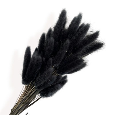 Alilang Dried Bunny Tail Grass Stems for Modern Home Decoration and Floral Arrangements, 23.5 Inches