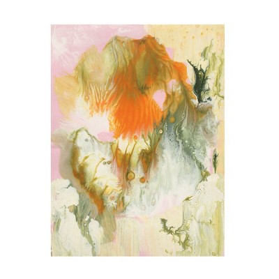 Trademark Fine Art - Ferdos Maleki  Sleeping Beauty I Canvas Art
