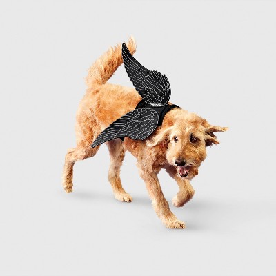 Raven Wings Dog Costume Accessories - Boots & Barkley™