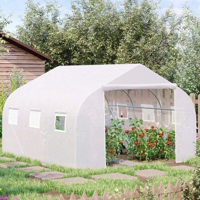 NicBex 20'x10'x7' Walk-in Tunnel Greenhouse with Roll-up Windows and Zippered Door, PE Cover for Growing Flowers, Herbs, Vegetables, Saplings