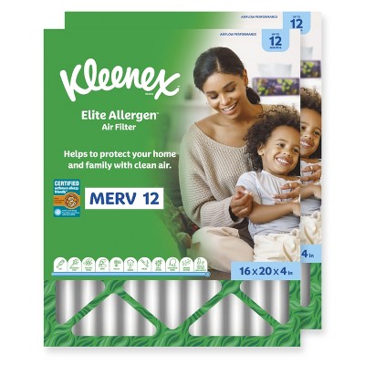 Elite Allergen Air Filter - 12 MERV RATING