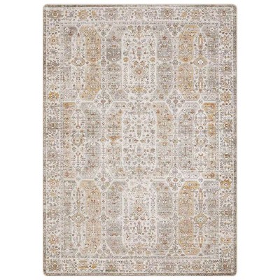 Abynow Boho Persian Farmhouse Washable Indoor Area Rug