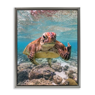 Stupell Industries Angry Turtle Middle Finger Black Framed Floater Canvas Wall Art