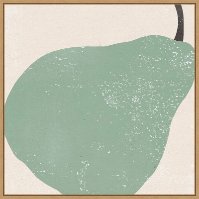 22" x 22" Graphic Pear Fruit IV by Moira Hershey Framed Canvas Wall Art Print - Amanti Art: Modern Lithograph, Polystyrene Frame