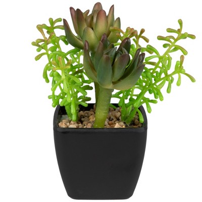 Northlight Potted Artificial Succulent Arrangement - 6"