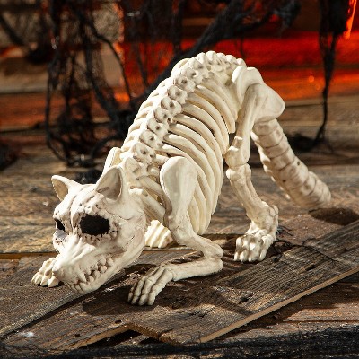 Seasons 21 in Racoon Skeleton Plastic Halloween Decoration - Off-White
