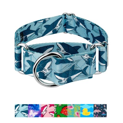 Country Brook Petz HossFit Jr Wide Martingale Dog Collar - Critter Corner Collection