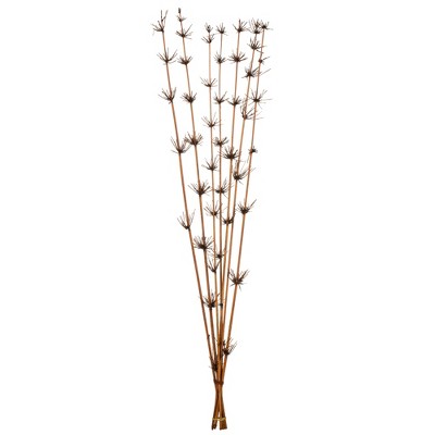 Vickerman 36-40" Star Bamboo Reed Stem, Dried