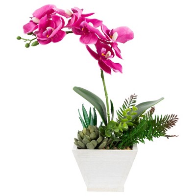 Northlight 12" Orchid with Succulent Artificial Potted Plant - Pink