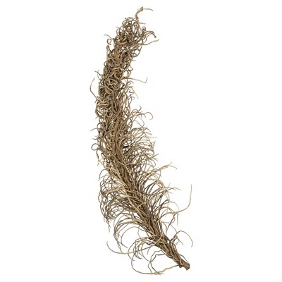 Vickerman Natural Medusa Branch, Dried