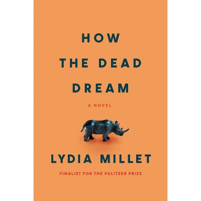 How the Dead Dream - by  Lydia Millet (Paperback)