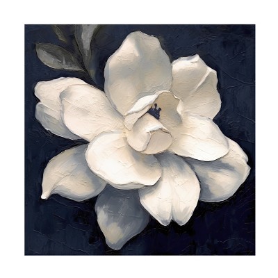 Canvas Wall Art - Sasha 'Night Magnolia' Wall Art for Living Room, Bedroom, or Office Décor by Trademark Fine Art - 14 x 14 Inches