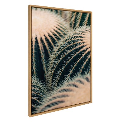 Kate & Laurel All Things Decor Sylvie Barrel Cactus Framed Wall Art by Alicia Bock Natural Desert Cactus Photography Wall Art