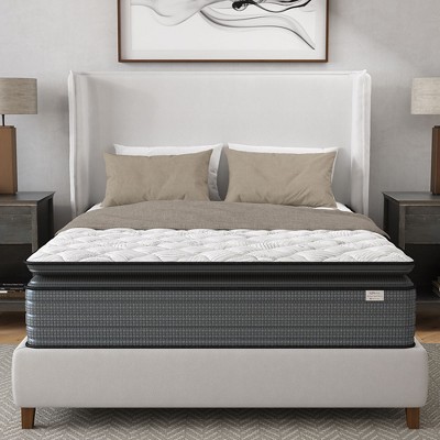 PAGED Mattress 14 Inch Hybrid Pillow Top Mattress with Low Motion Transfer for Pressure Relief