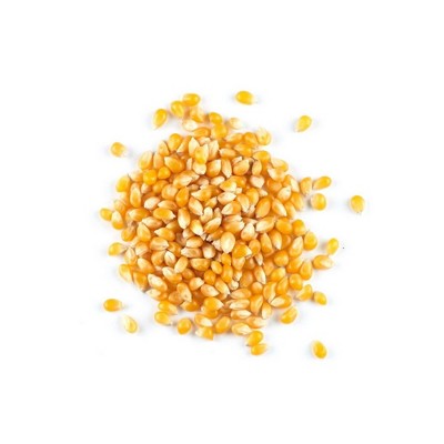 Pleasant Grove Farms Organic Yellow Popcorn - 25 lb