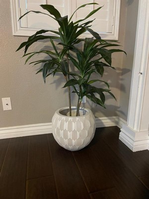 Guest review image 1 of 2, zoom in