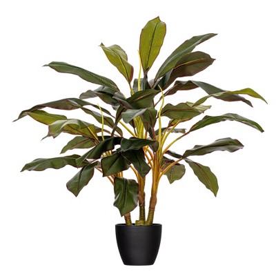 Vickerman 30" Artificial Real Touch Dracaena