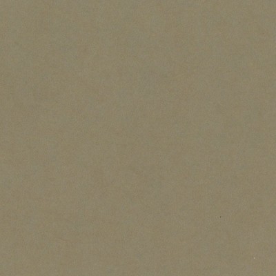 Bazzill Card Shoppe Heavyweight Cardstock 12"X12"