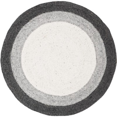 Braided BRD903 Hand Woven Rug - Safavieh