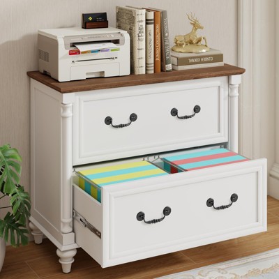 Lateral File Cabinet for Letter/A4/Legal Size Hanging Files, 2 Drawers White File Storage Cabinet Printer Stand