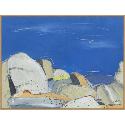 42" x 32" Joshua Tree Boulders by Jan Weiss: Amanti Art Framed Canvas - Modern Lithograph Print