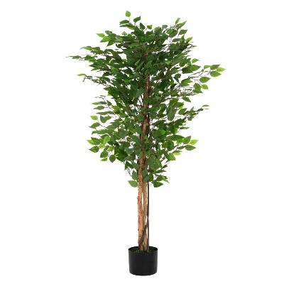 Angel Sar 63" Artificial Ficus Tree Without White Pot, Realistic Weeping Fig with Glossy Leaves, Twist Trunk, No Maintenance Indoor Decor