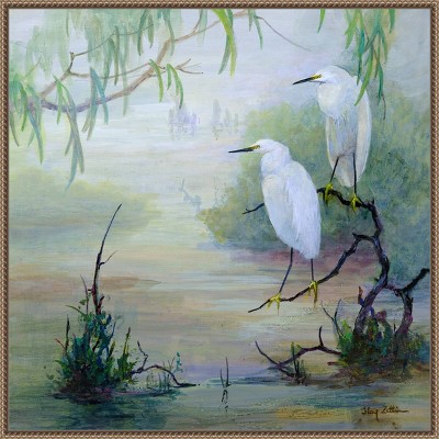 Amanti Art Snowy Egrets in Wetlands by Floy Zittin Framed Wall Art Print