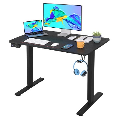 FDW 40/48/55 Adjustable Height Standing Desk Computer Desk with Large Space Office Desk with Electric Lifting and 2 Memory Function