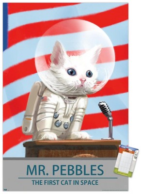 Trends International Fallout 4 - Mr. Pebbles - The First Cat In Space Unframed Wall Poster Prints