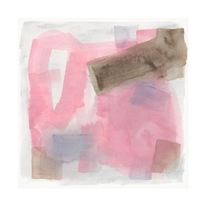 Trademark Fine Art - June Erica Vess  Luz Rosa I Canvas Art