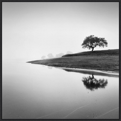 30" x 30" Tree in The Lake by Alexandre Manuel Framed Canvas Wall Art Print - Amanti Art