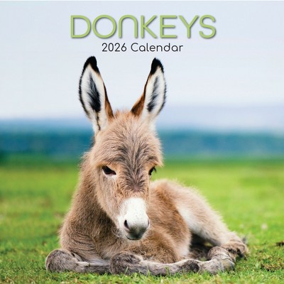 2026 Square Wall Calendar, Donkeys, 16-Month Animals Theme with 180 Reminder Stickers (12x12 In)