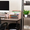 Mind Reader Desktop Organizer Vertical File Holder Plastic - 2 of 4