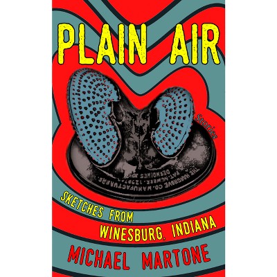 Plain Air: Sketches from Winesburg, Indiana - by  Michael Martone (Paperback)