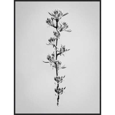 32" x 42" Amid The Flowers by Teis Albers - Amanti Art: Modern Botanical Lithograph