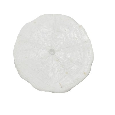 Collectible Wildlife Gifts | Sand Dollar, Sea Cookies, Flat Sea Urchins Shell, Ocean, Sea Life, Plastic ,  Animal, Gift,  1 3/4"   F4110 B96