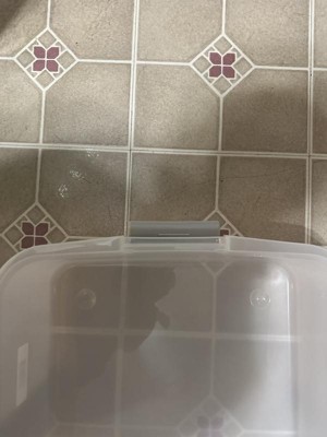 Guest review image 4 of 5, zoom in