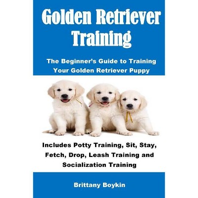 Golden Retriever Training - by  Brittany Boykin (Paperback)