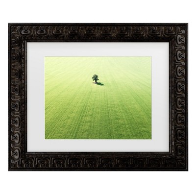 Trademark Fine Art - Marcus Cederberg  Lonely tree Matted Framed Art